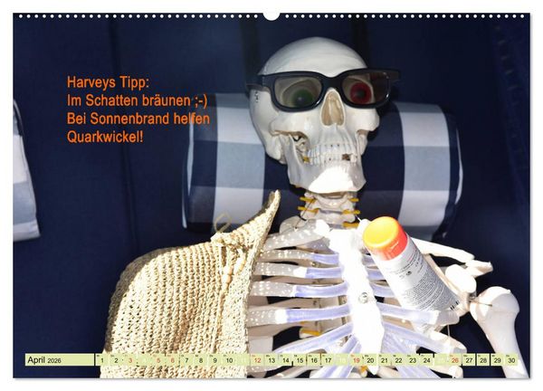 Produktbild: Harvey, der Heilpraktiker (hochwertiger Premium Wandkalender 2026 DIN A2 quer), Kunstdruck in Hochglanz