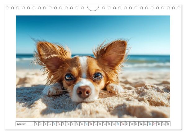 Produktbild: Chihuahua Gl&uuml;cksmomente (Wandkalender 2027 DIN A4 quer), CALVENDO Monatskalender
