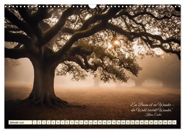 Produktbild: Waldbaden - Shinrin Yoku (Wandkalender 2026 DIN A3 quer), CALVENDO Monatskalender