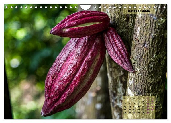 Produktbild: Fruits of Grenada (Wall Calendar 2026 DIN A4 landscape), CALVENDO 12 Month Wall Calendar