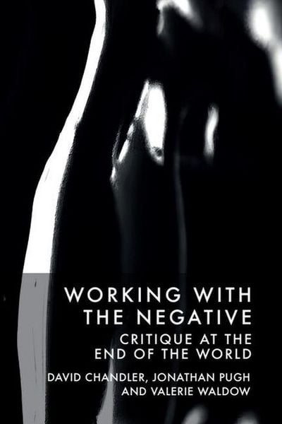 Produktbild: Working with the Negative