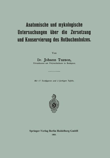 Produktbild: Anatomische und mykologische Untersuchungen &uuml;ber die Zersetzung und Konservierung des Rotbuchenholzes