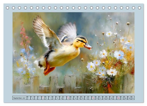 Produktbild: Zwergenten. Bezaubernde Schreih&auml;lse in der Natur (Tischkalender 2027 DIN A5 quer), CALVENDO Monatskalender