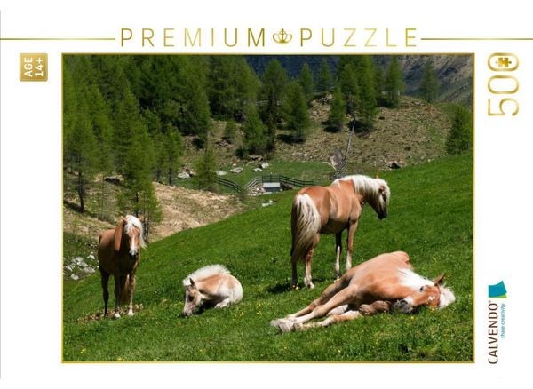 CALVENDO Puzzle Haflinger Pferde in Rein in Taufers | 500 Teile Lege-Größe 48 × 36 cm Foto-Puzzle für Erwachsene