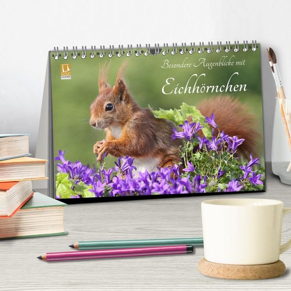 Produktbild: Besondere Augenblicke mit Eichh&ouml;rnchen (Tischkalender 2027 DIN A5 quer), CALVENDO Monatskalender