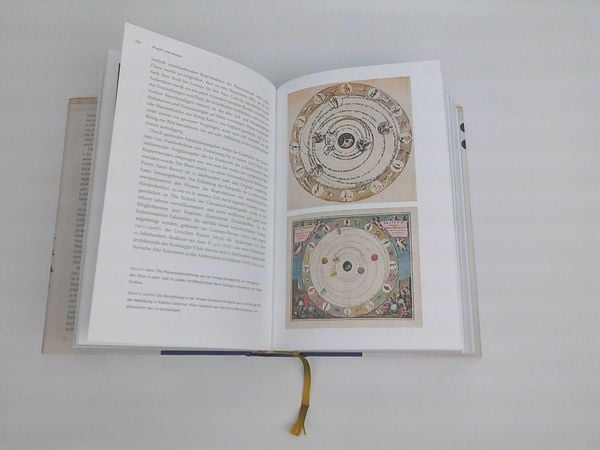 Produktbild: Pracht und Anmut