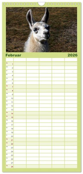 Produktbild: Familienplaner 2026 - Lama-Kalender mit 5 Spalten (Wandkalender, 21 x 45 cm) CALVENDO