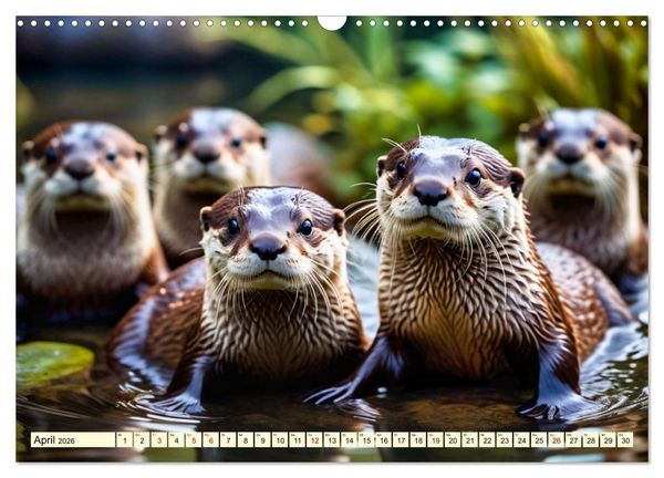 Produktbild: Die Familie der Marder (Wandkalender 2026 DIN A3 quer), CALVENDO Monatskalender
