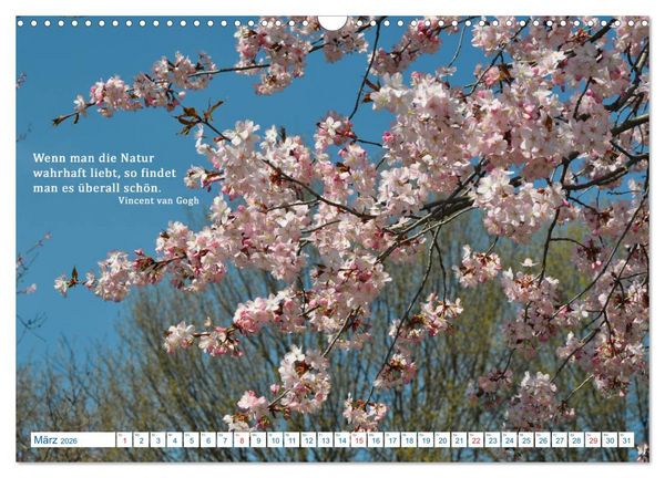 Produktbild: Kraftquelle Natur (Wandkalender 2026 DIN A3 quer), CALVENDO Monatskalender