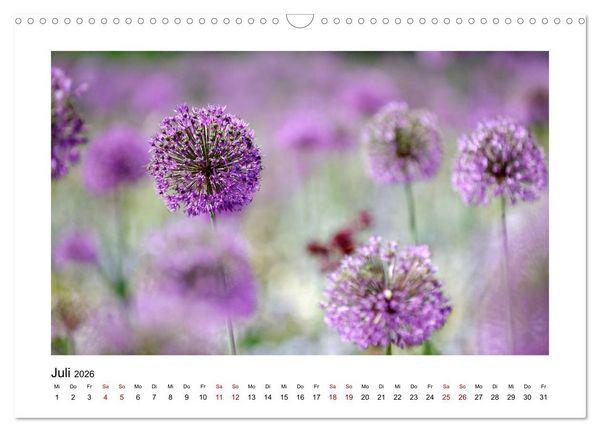 Produktbild: Garten-Idylle 2026 (Wandkalender 2026 DIN A3 quer), CALVENDO Monatskalender