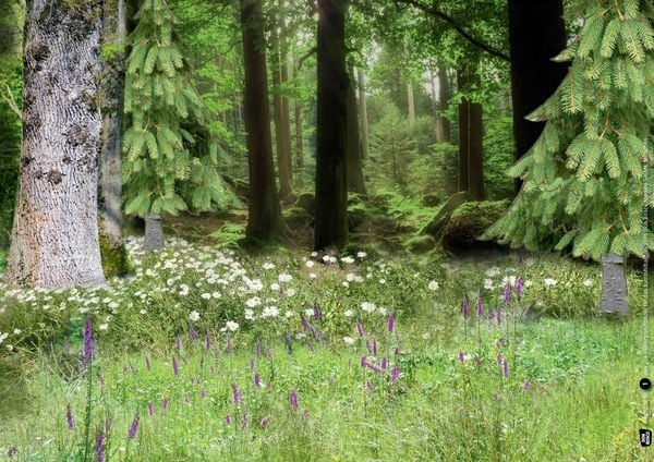 Produktbild: 24 Hintergrundbilder f&uuml;r das Kamishibai