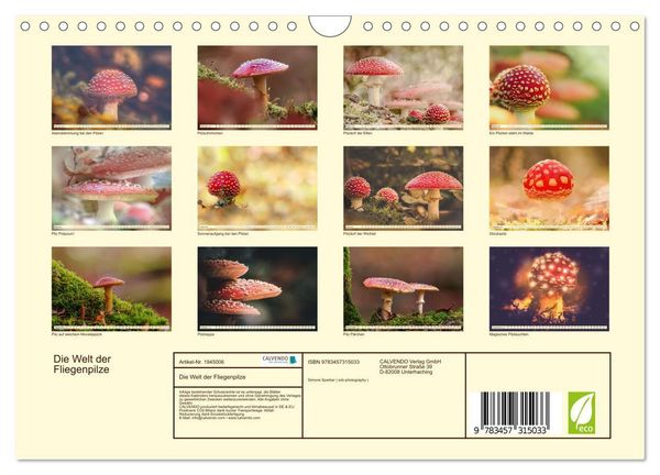Produktbild: Die Welt der Fliegenpilze (Wandkalender 2026 DIN A4 quer), CALVENDO Monatskalender
