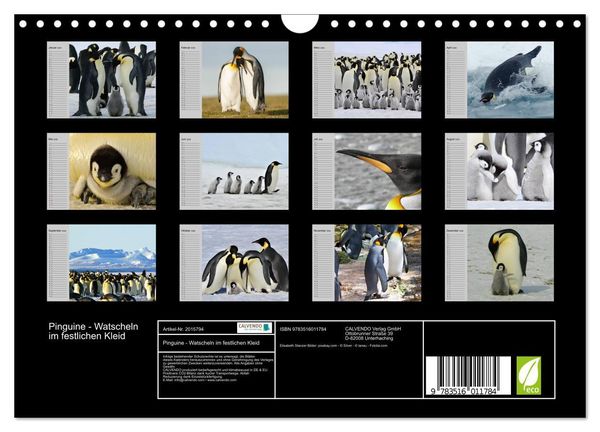 Produktbild: Pinguine - Watscheln im festlichen Kleid (Wandkalender 2026 DIN A4 quer), CALVENDO Monatskalender