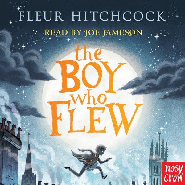 The Boy Who Flew - Fleur Hitchcock, Audio, 9781788006187
