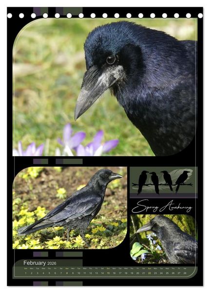 Produktbild: Crows - Through the Seasons (Desk Calendar 2026 DIN A5 portrait), CALVENDO 12 Month DeskCalendar