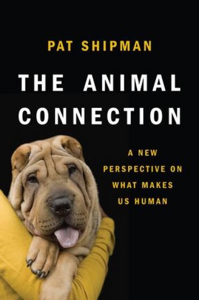 Produktbild: The Animal Connection