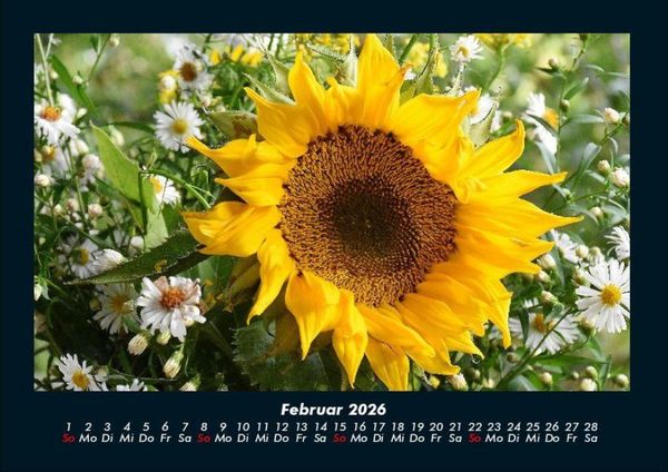 Produktbild: Blumentr&auml;ume 2026 Fotokalender DIN A4