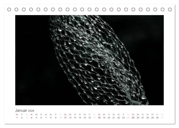 Produktbild: einfach schwarz-wei&szlig; (Tischkalender 2026 DIN A5 quer), CALVENDO Monatskalender