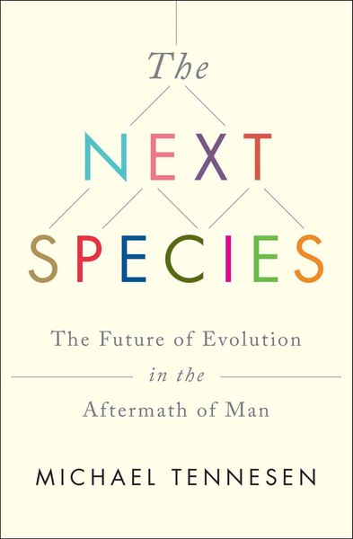 Produktbild: The Next Species