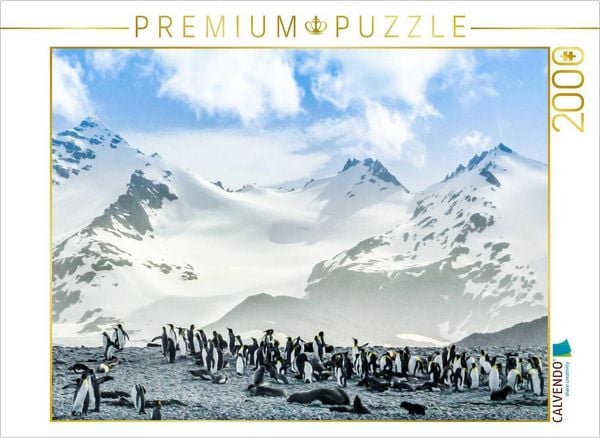 Produktbild: CALVENDO Puzzle Pinguin Kolonie im Naturparadies Antarktis | 2000 Teile Lege-Gr&ouml;&szlig;e 90x67cm Foto-Puzzle f&uuml;r gl&uuml;ckliche Stunden