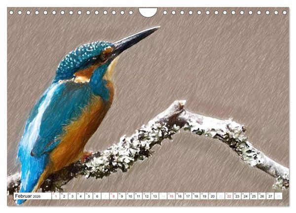 Produktbild: Schottlands Vogelwelt - Ein Portr&auml;t in Zeichnungen (Wandkalender 2026 DIN A4 quer), CALVENDO Monatskalender