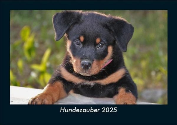 Produktbild: Hundezauber 2025 Fotokalender DIN A5