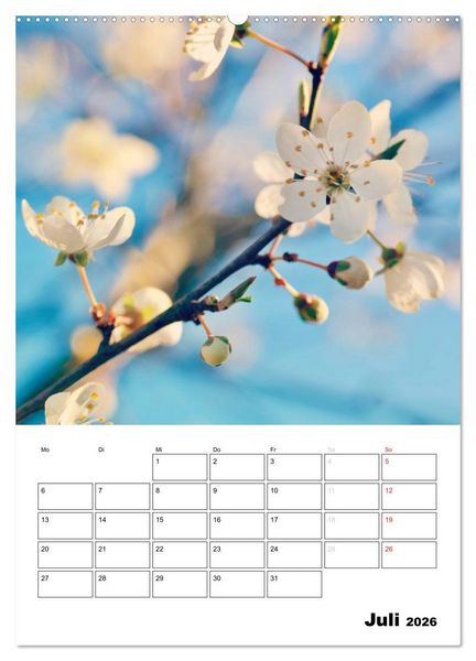 Produktbild: Zauberhafte Bl&uuml;tenwelt / Planer (Wandkalender 2026 DIN A2 hoch), CALVENDO Monatskalender