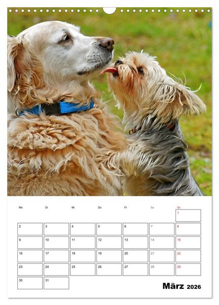 Produktbild: Hunde Freunde (Wandkalender 2026 DIN A3 hoch), CALVENDO Monatskalender