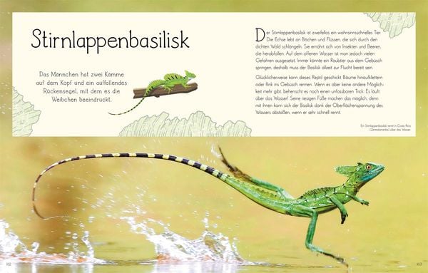 Produktbild: Wundervolle Welt. Wasser