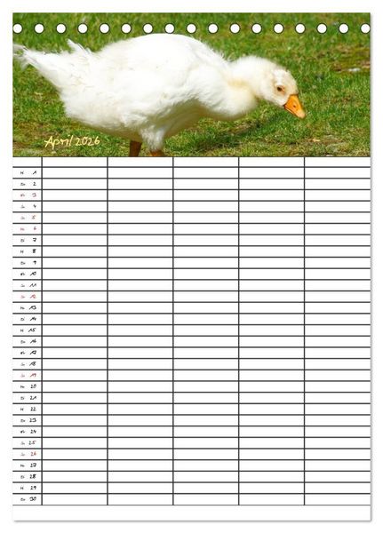 Produktbild: Bauernhoftiere Familienplaner (Tischkalender 2026 DIN A5 hoch), CALVENDO Monatskalender