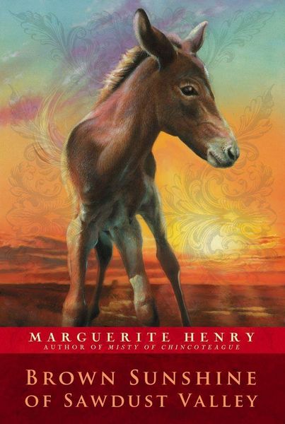 Produktbild: Brown Sunshine of Sawdust Valley
