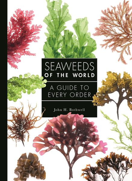 Produktbild: Seaweeds of the World