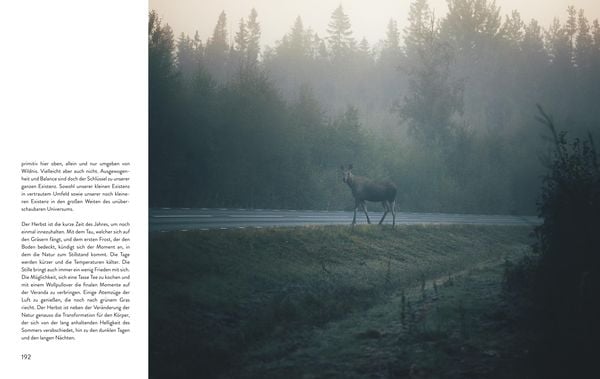 Produktbild: Nordic Feeling