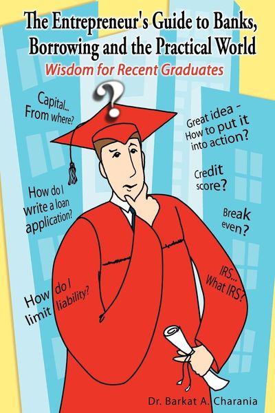 Produktbild: The Entrepreneur's Guide to Banks, Borrowing and the Practical World