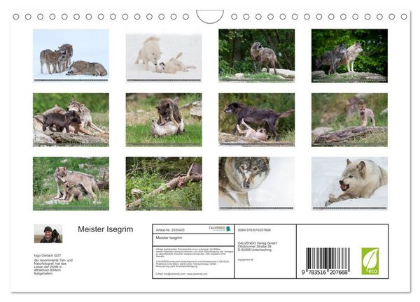 Produktbild: Meister Isegrim (Wandkalender 2026 DIN A4 quer), CALVENDO Monatskalender