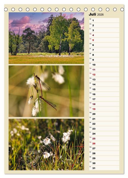 Produktbild: Harmonie der Farben in Landschaft und Natur (Tischkalender 2026 DIN A5 hoch), CALVENDO Monatskalender
