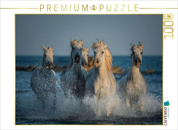 Produktbild: CALVENDO Puzzle Camarguepferde - Stuten im Meer | 1000 Teile Lege-Gr&ouml;&szlig;e 64x48cm Foto-Puzzle f&uuml;r gl&uuml;ckliche Stunden