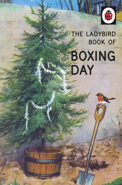 Produktbild: The Ladybird Book of Boxing Day