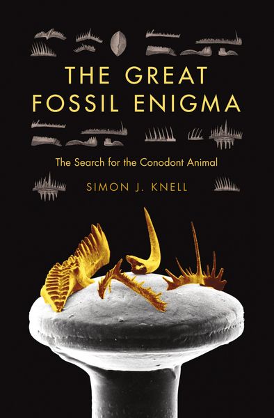 Produktbild: The Great Fossil Enigma