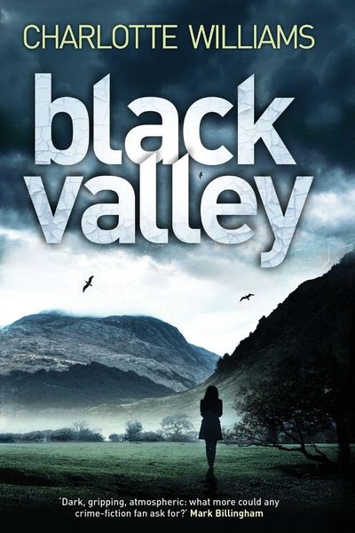 Produktbild: Black Valley