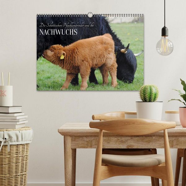 Produktbild: Die Schottischen Hochlandrinder und ihr Nachwuchs (Wandkalender 2026 DIN A3 quer), CALVENDO Monatskalender