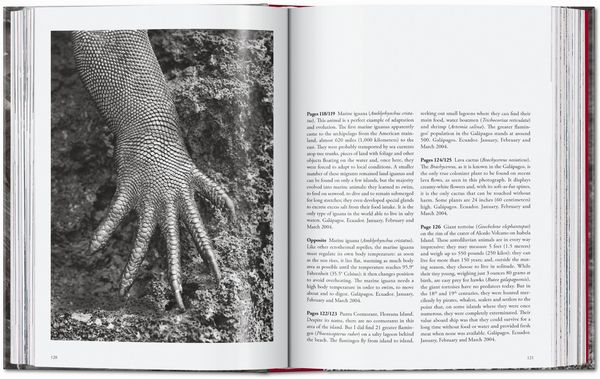 Produktbild: Sebasti&atilde;o Salgado