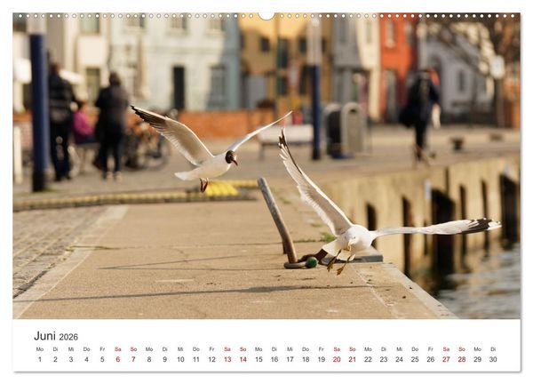 Produktbild: Unser sch&ouml;nes Wismar (hochwertiger Premium Wandkalender 2026 DIN A2 quer), Kunstdruck in Hochglanz