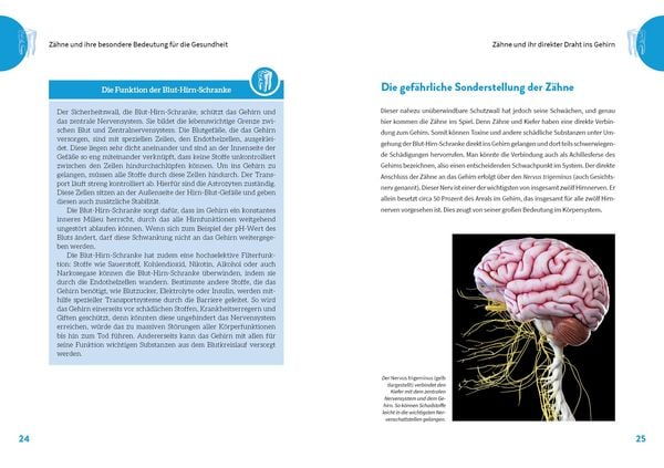 Produktbild: Die geheime Kraft der Zähne