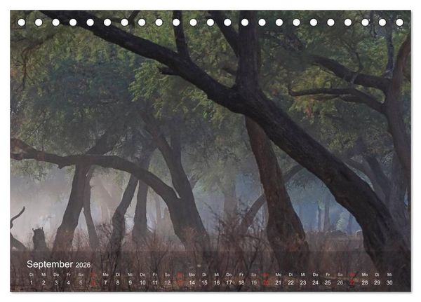 Produktbild: Zimbabwe (Tischkalender 2026 DIN A5 quer), CALVENDO Monatskalender
