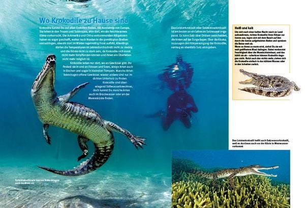 Produktbild: Entdecke die Krokodile