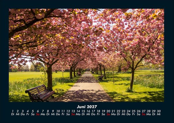 Produktbild: B&auml;ume 2027 Fotokalender DIN A4