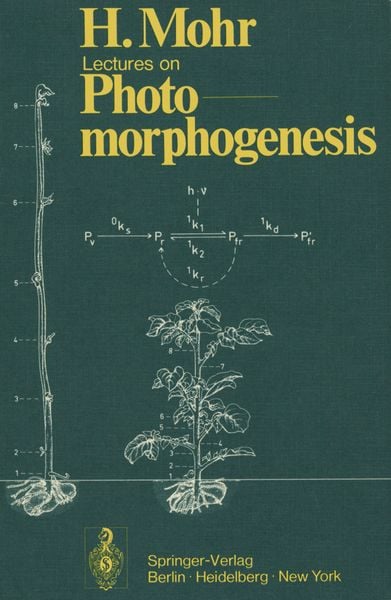 Produktbild: Lectures on Photomorphogenesis