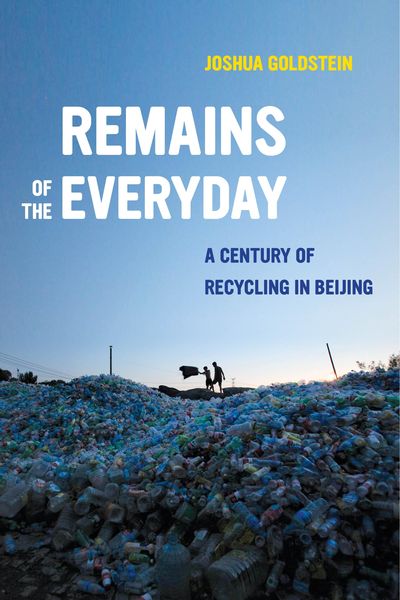Produktbild: Remains of the Everyday