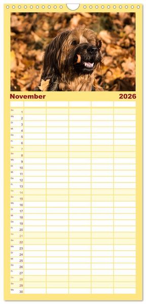 Produktbild: Familienplaner 2026 - Der Briard - Ein echter Charmeur mit 5 Spalten (Wandkalender, 21 x 45 cm) CALVENDO